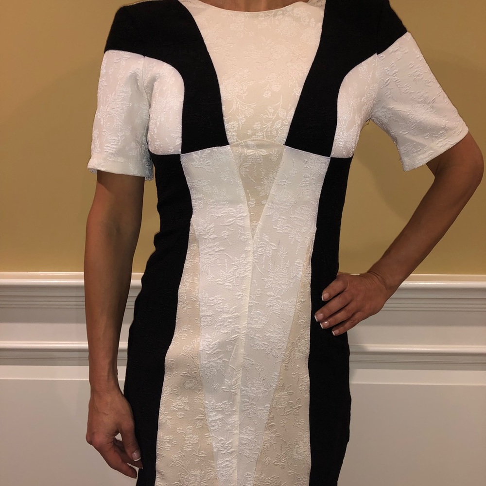 NWT Derek Lam Dress